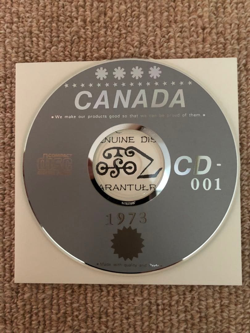 洋楽 LED ZEPPELIN  DRY