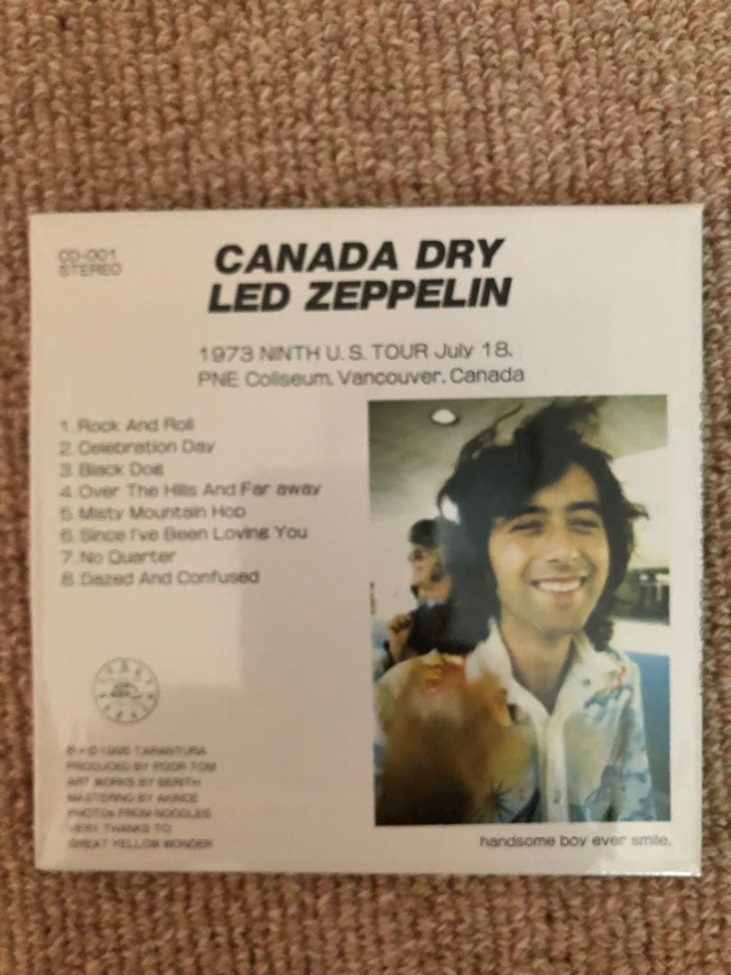 洋楽 LED ZEPPELIN  DRY