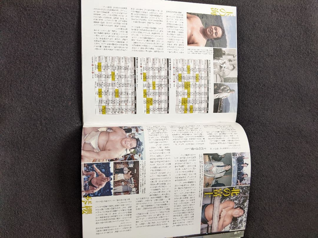 大相撲名力士風雲録　第18号 DVDマガジン 横綱 北の富士 玉の海 琴櫻 大鵬