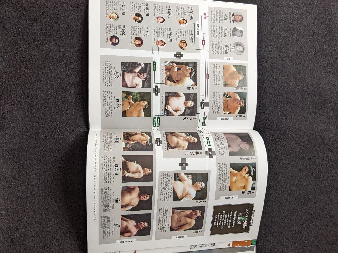 大相撲名力士風雲録　第18号 DVDマガジン 横綱 北の富士 玉の海 琴櫻 大鵬