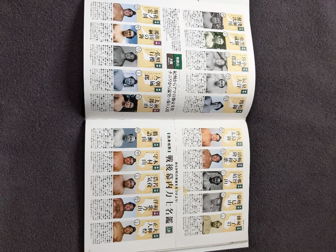 大相撲名力士風雲録　第18号 DVDマガジン 横綱 北の富士 玉の海 琴櫻 大鵬