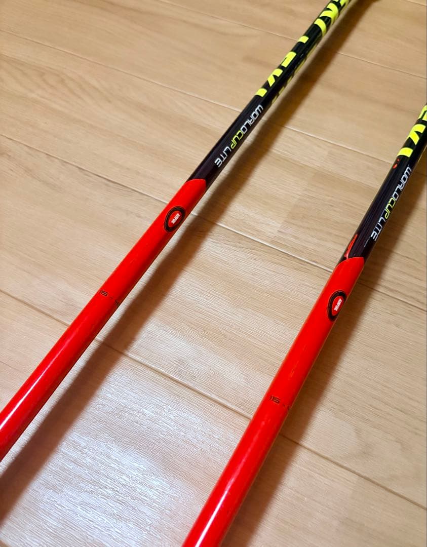 LEKI・ストック115cm(パンチガード付き)