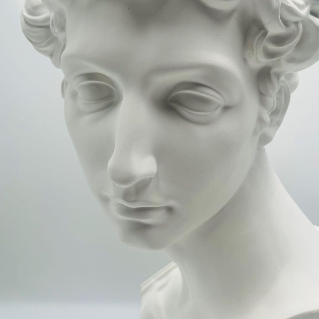 【美品】 石膏像 メディチ 胸像 顔 美術 スケッチ インテリア 約60cm