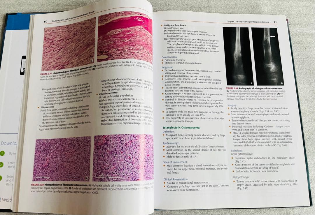 健康・医学 Radiology and Pathology Correlation