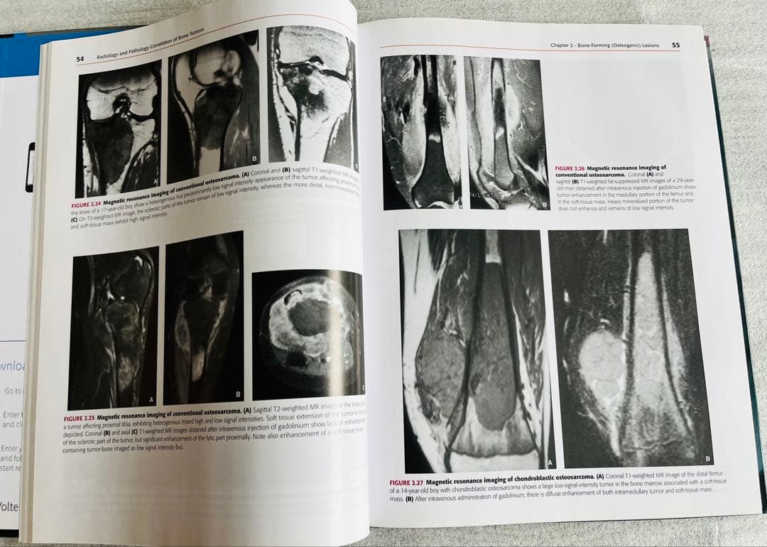 健康・医学 Radiology and Pathology Correlation