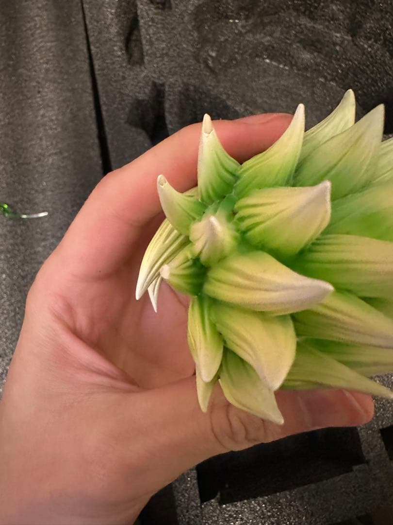 ドラゴンボール　ブロリー　ガレージキット　フィギュア