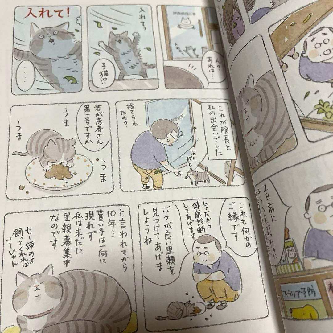 ねこまき　トラとミケ　しっぽのお医者さん