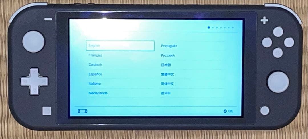 【初期化済】Nintendo Switch Lite グレー 本体＋充電器セット