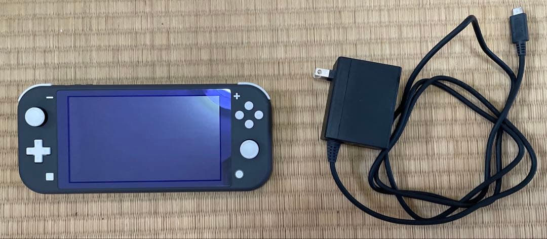 【初期化済】Nintendo Switch Lite グレー 本体＋充電器セット