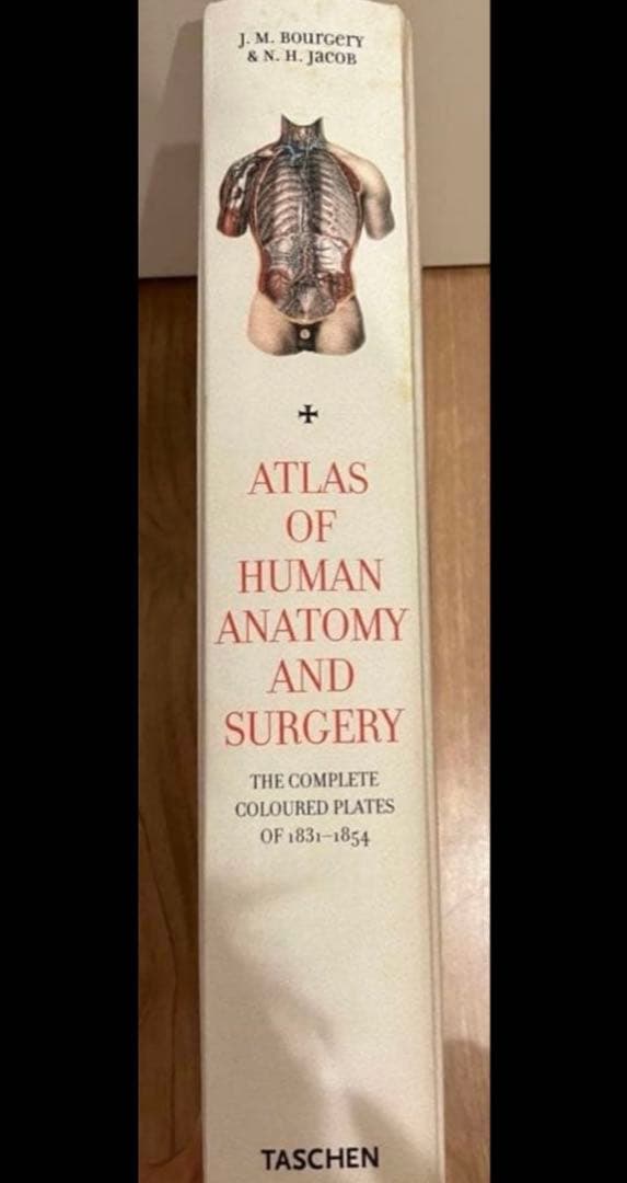 健康・医学 ATLAS OF HUMAN ANATOMY AND SURGERY