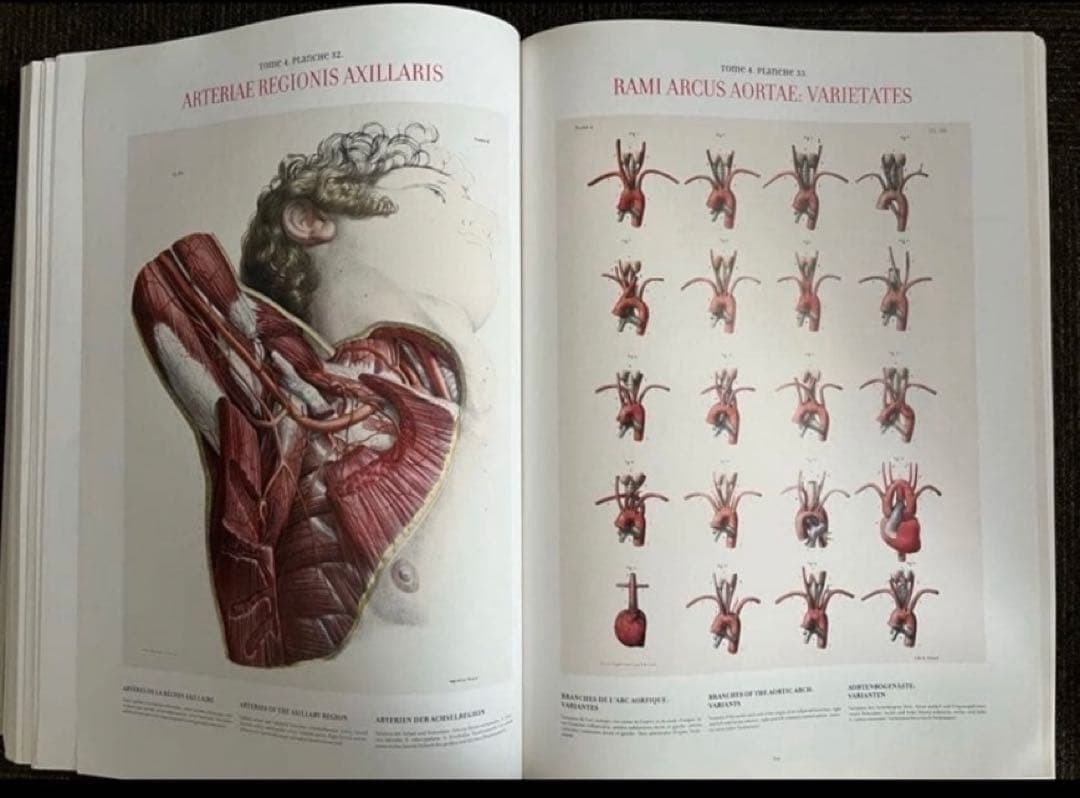 健康・医学 ATLAS OF HUMAN ANATOMY AND SURGERY