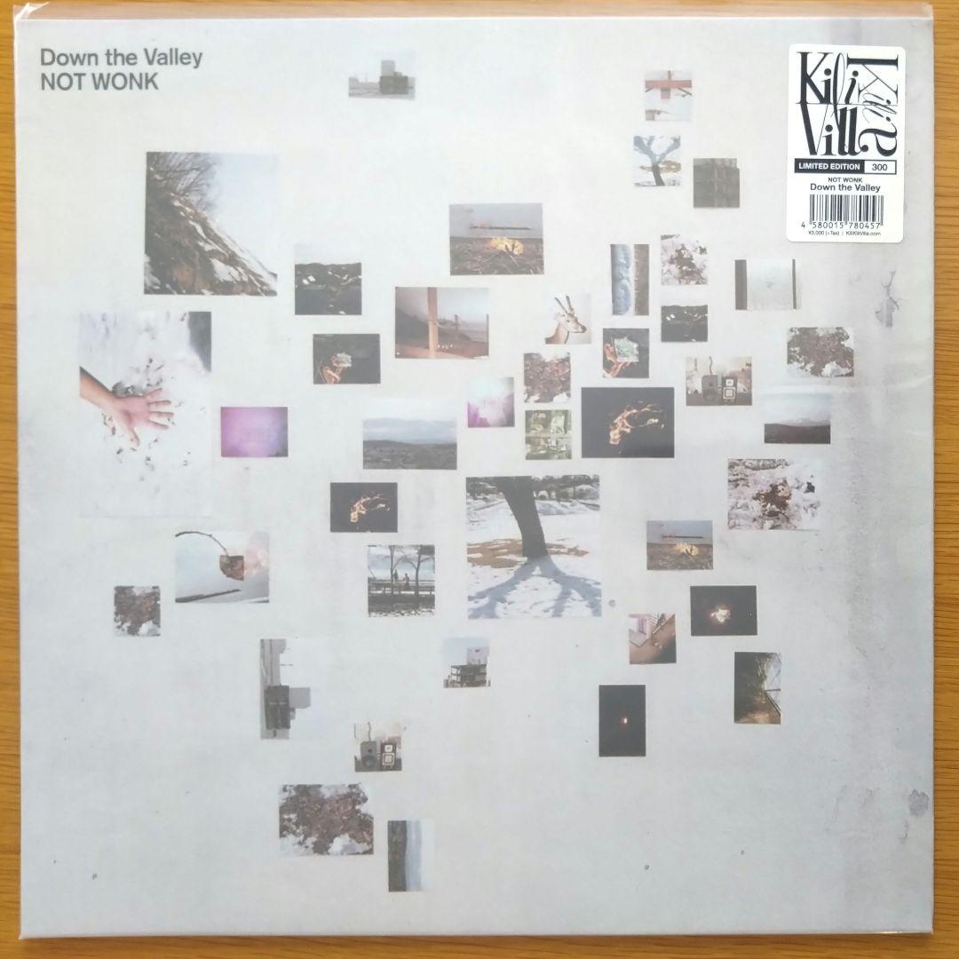 邦楽 not wonk/down the valley