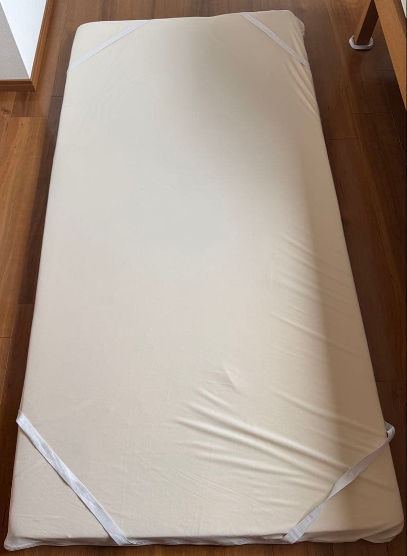 【ヘタリ無し・洗浄済】True Sleeper トゥルースリーパー シングル