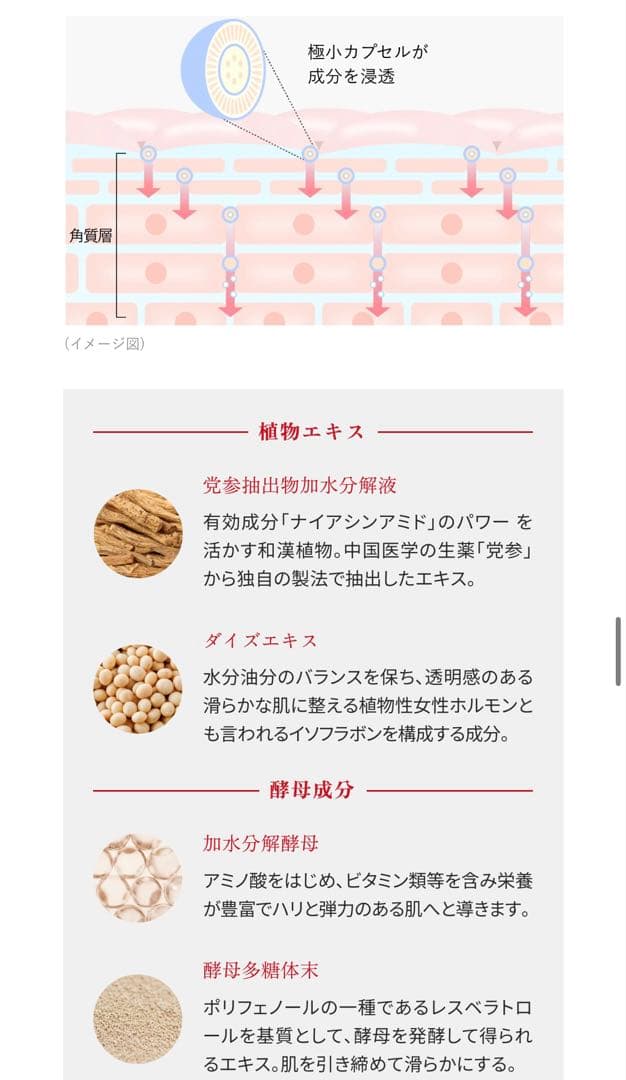 【新品未開封】Aurelie オレリー プレミアム集中ケア5点セット