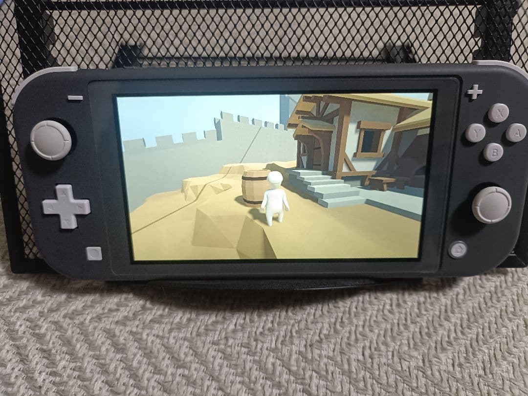 Nintendo Switch Lite グレー 本体 充電器・専用ケース付き