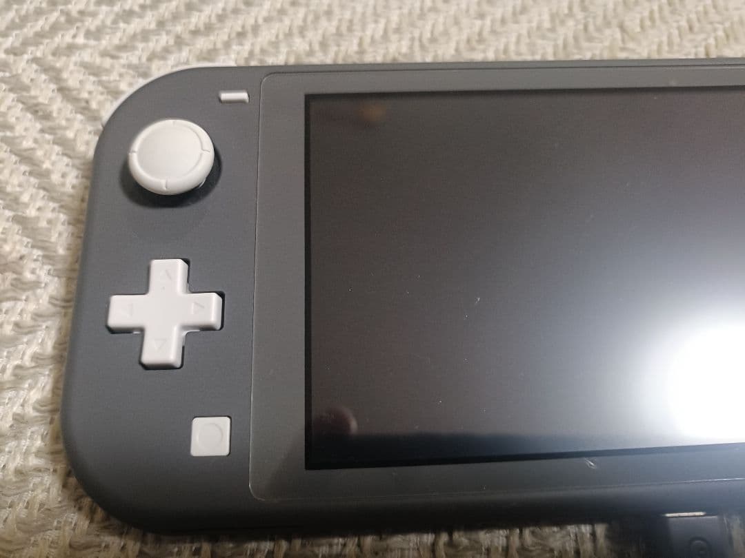 Nintendo Switch Lite グレー 本体 充電器・専用ケース付き