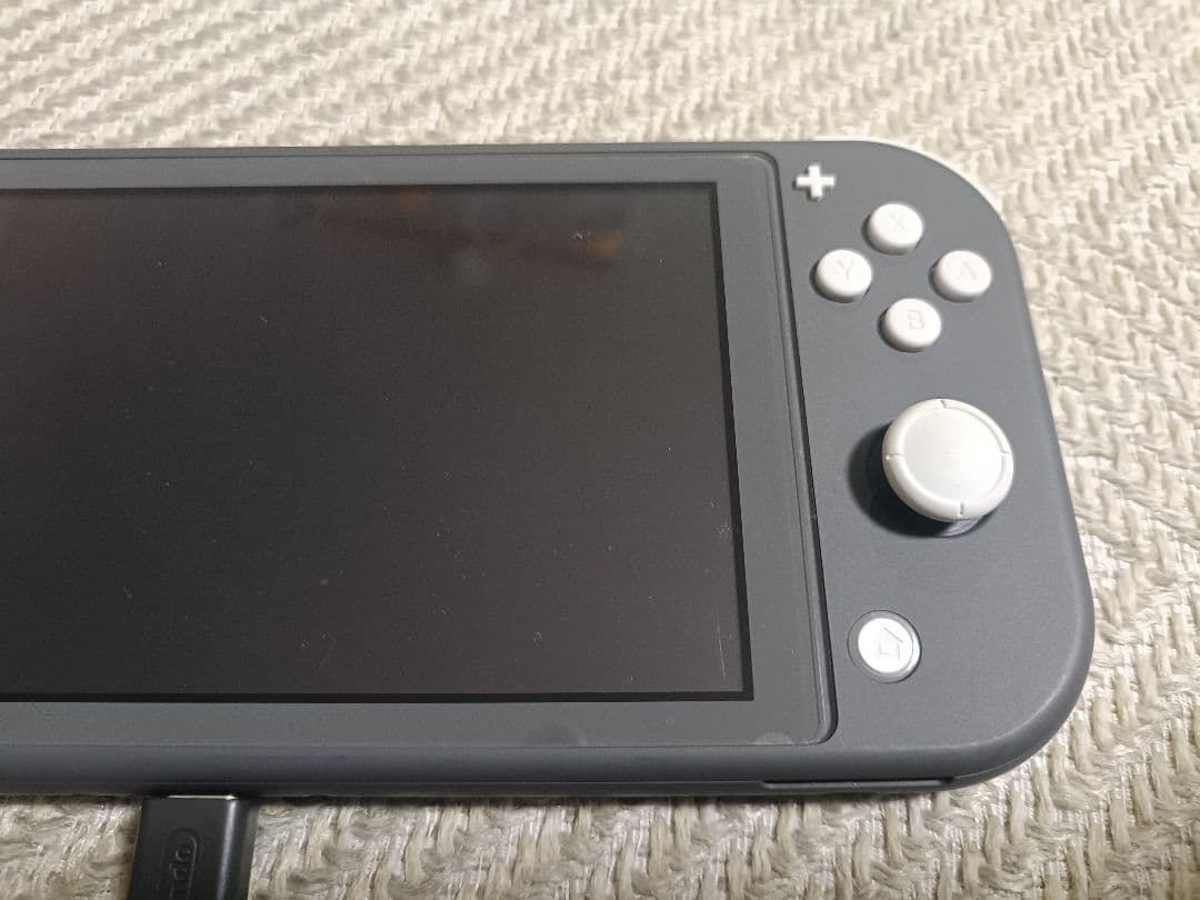Nintendo Switch Lite グレー 本体 充電器・専用ケース付き