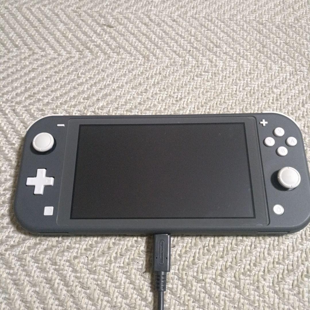 Nintendo Switch Lite グレー 本体 充電器・専用ケース付き