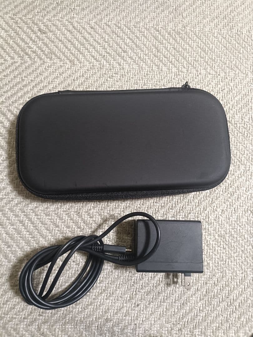 Nintendo Switch Lite グレー 本体 充電器・専用ケース付き