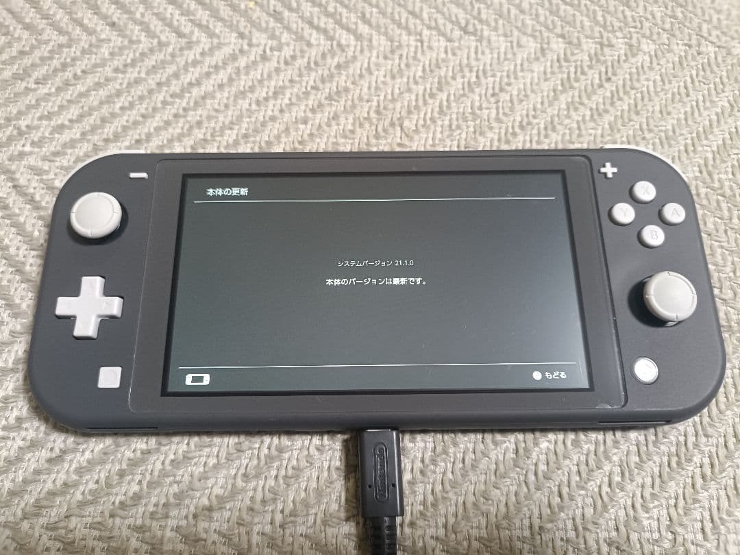 Nintendo Switch Lite グレー 本体 充電器・専用ケース付き