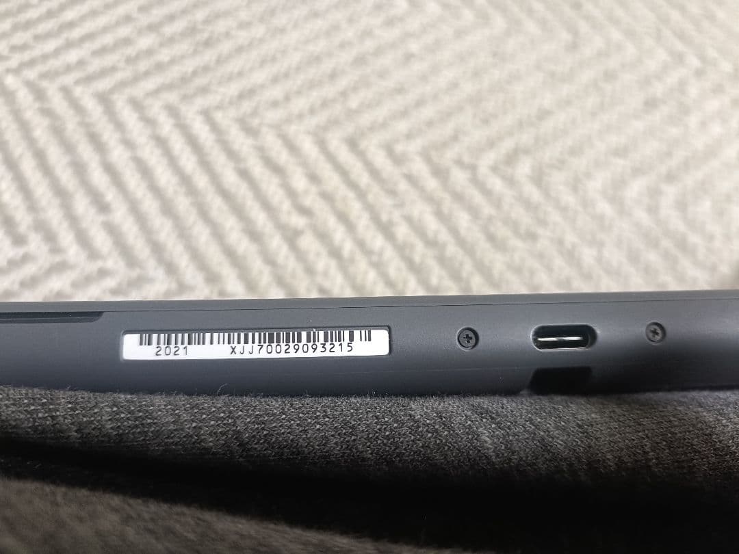 Nintendo Switch Lite グレー 本体 充電器・専用ケース付き