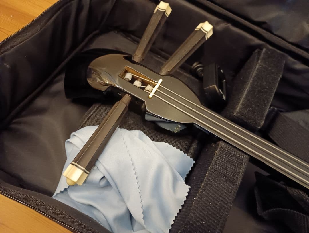 三線沖縄初心者フルセットケースBEGIN三線曲集付き