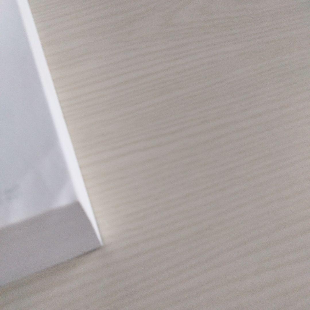 洋書 CHRONOLOGICAL BIBLE