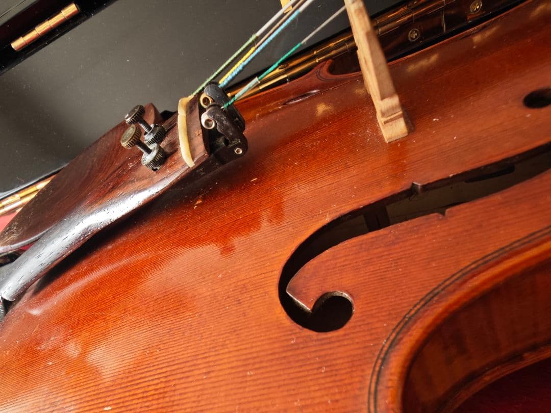 Roderich Paesold 806 バイオリン 4/4