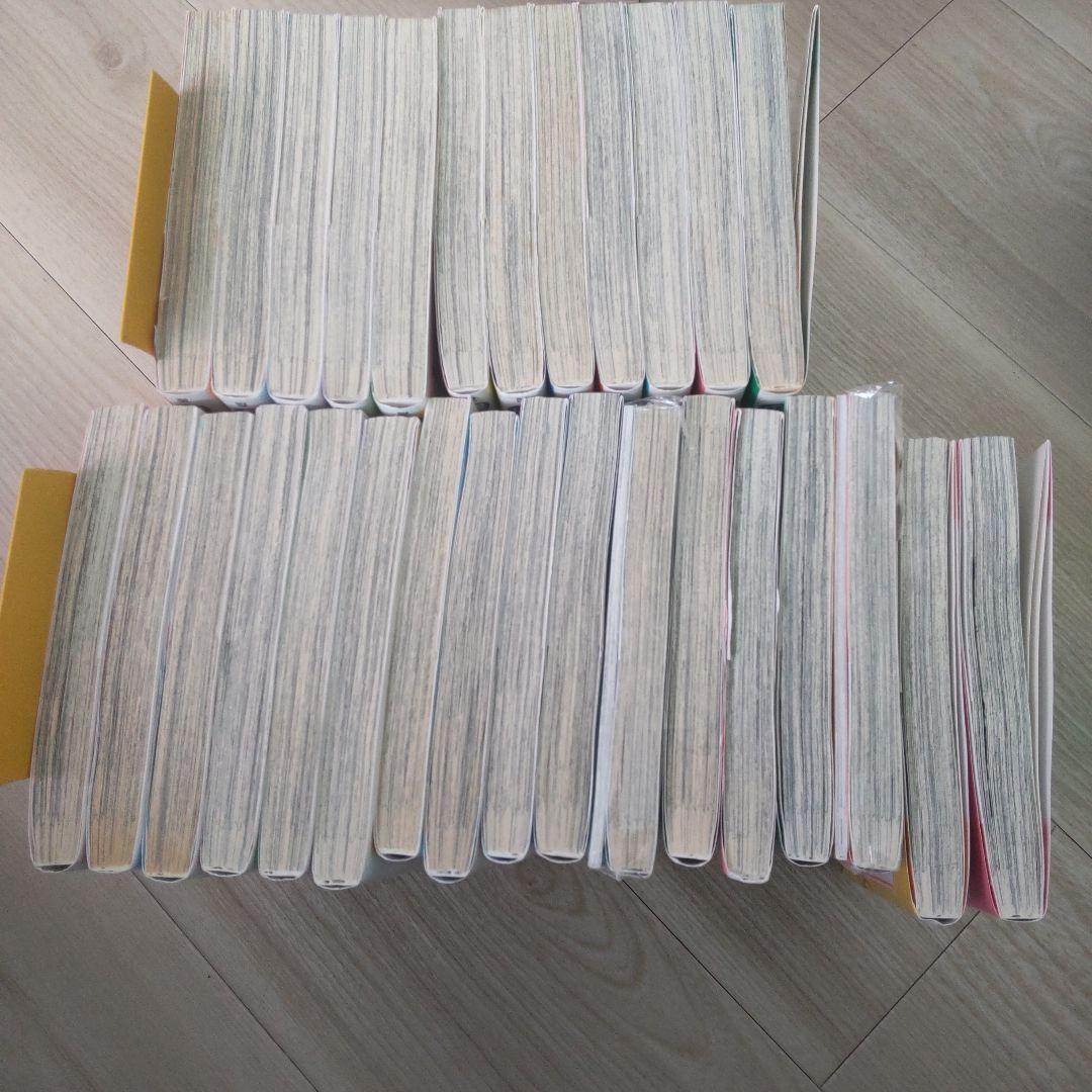 純情ロマンチカ29巻セット