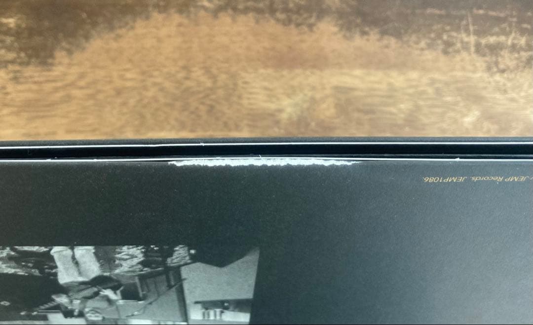 ■稀少アナログ盤■PHISH / フィッシュ■The Siket Disc■1L