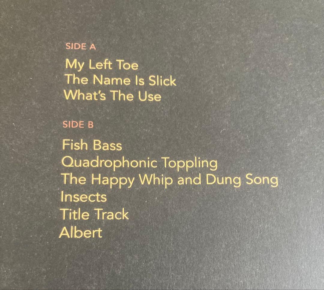 ■稀少アナログ盤■PHISH / フィッシュ■The Siket Disc■1L