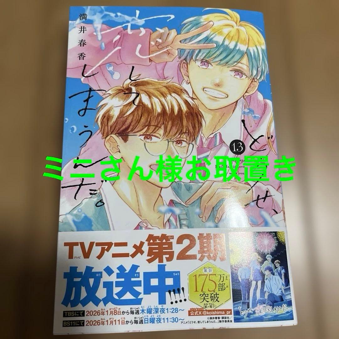 どうせ、恋してしまうんだ。(13)