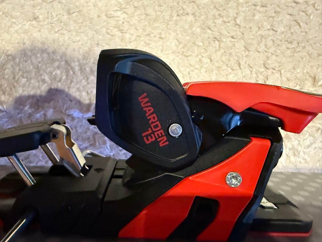 スキー 190 DPS Spoon pure 3 carbon nano