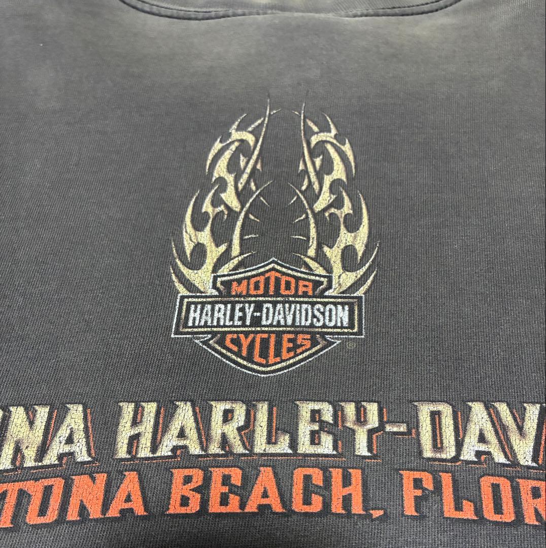 フェード◎ harley davidson ドクロ スカル ロンT アメリカ製