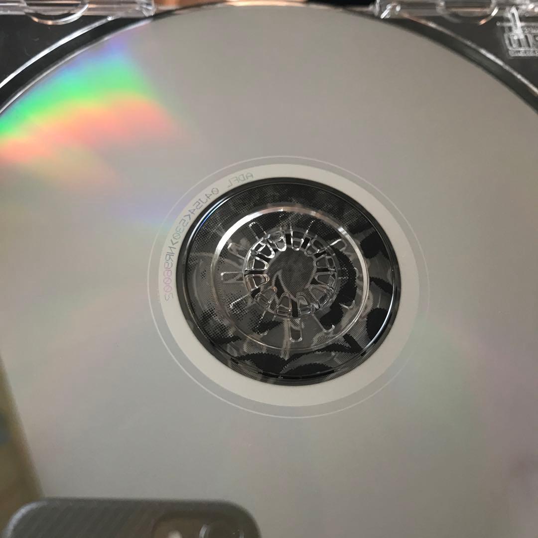 洋楽 Rise/ shadow of ruins