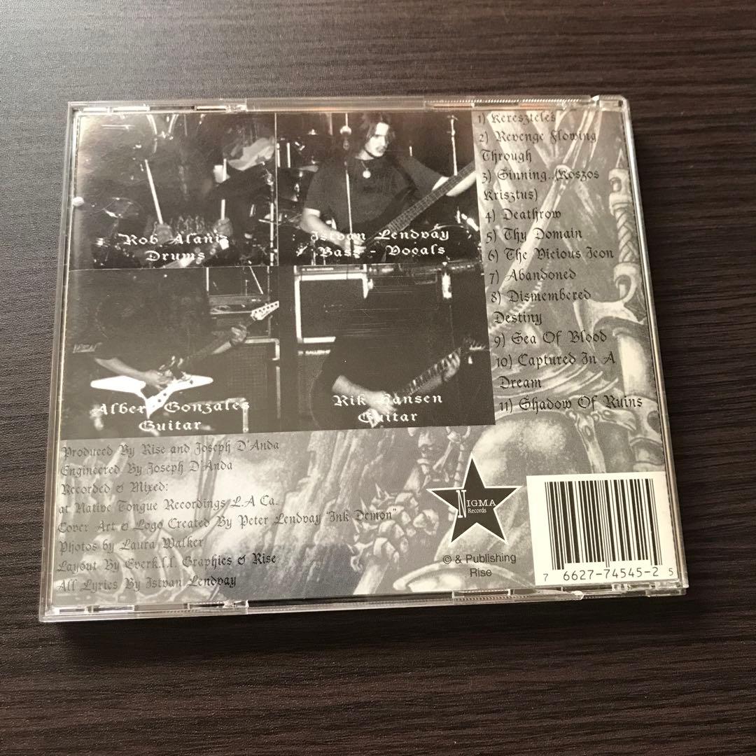 洋楽 Rise/ shadow of ruins