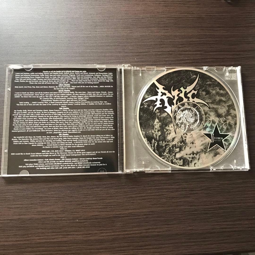 洋楽 Rise/ shadow of ruins