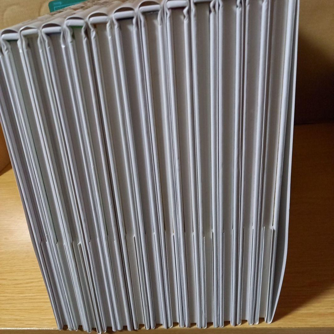 13冊　ピカソ　マティス　セザンヌ　シャガール　フェルメールとレンブラント　他