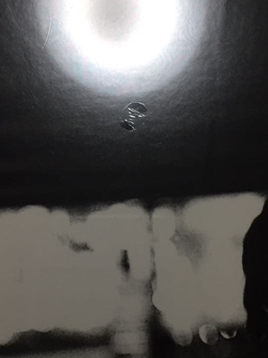 未開封 レア 斉藤和義 - 青春ブルース レコード