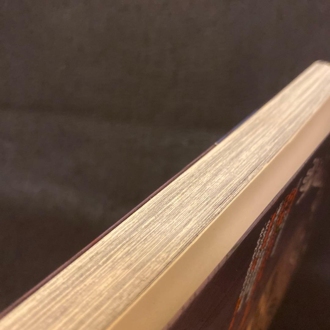 ゴールデンカムイ 23巻 アニメDVD同梱版 初版 野田サトル