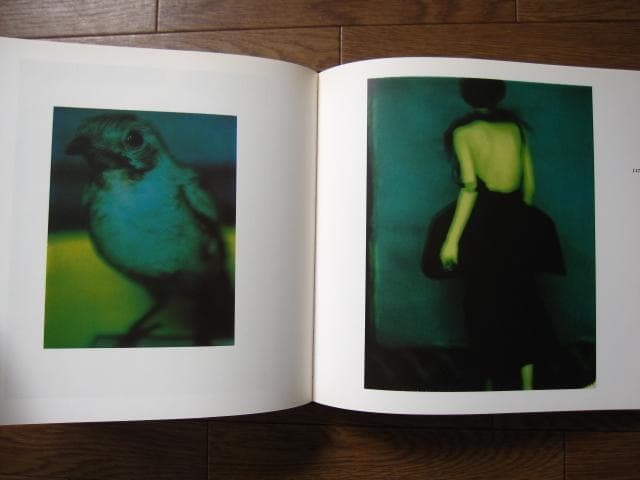 Zufaellige Begegnungen　Sarah Moon　サラ・ムーン