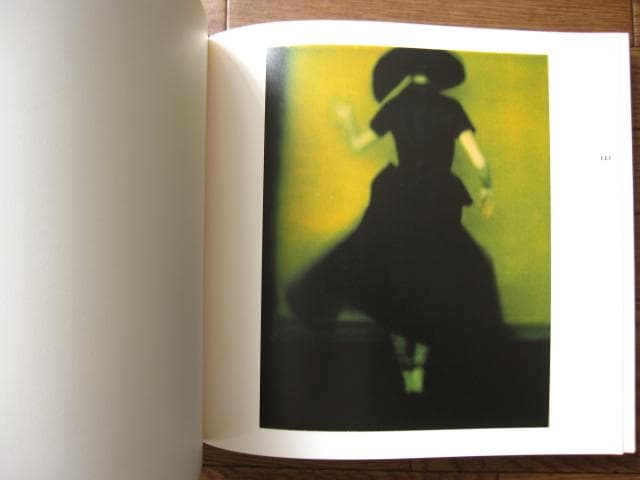 Zufaellige Begegnungen　Sarah Moon　サラ・ムーン