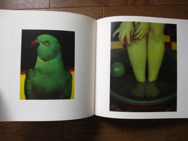 Zufaellige Begegnungen　Sarah Moon　サラ・ムーン