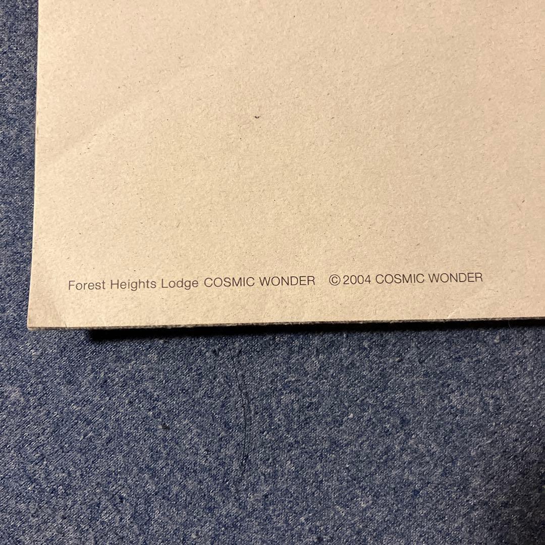 COSMIC WONDER ピンズ/ 2004