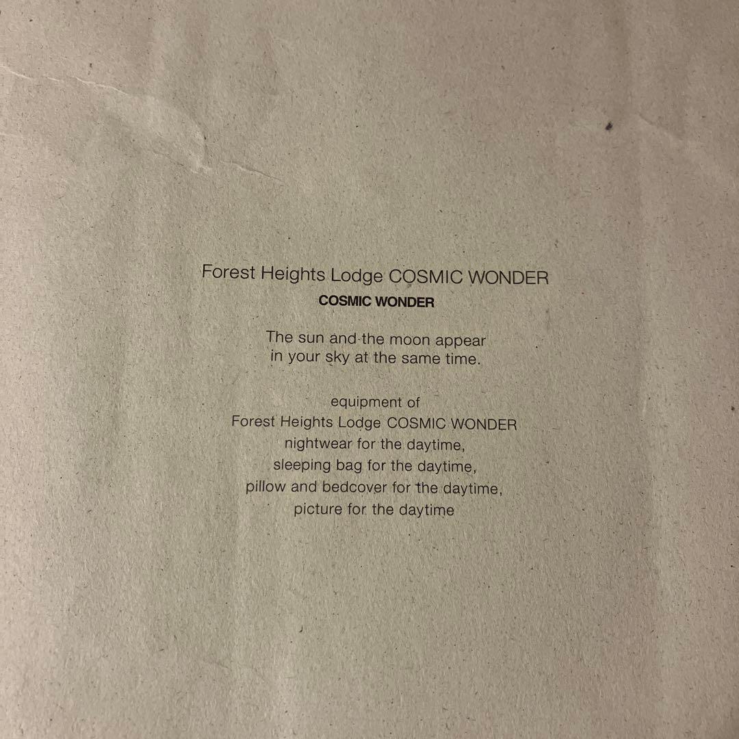 COSMIC WONDER ピンズ/ 2004