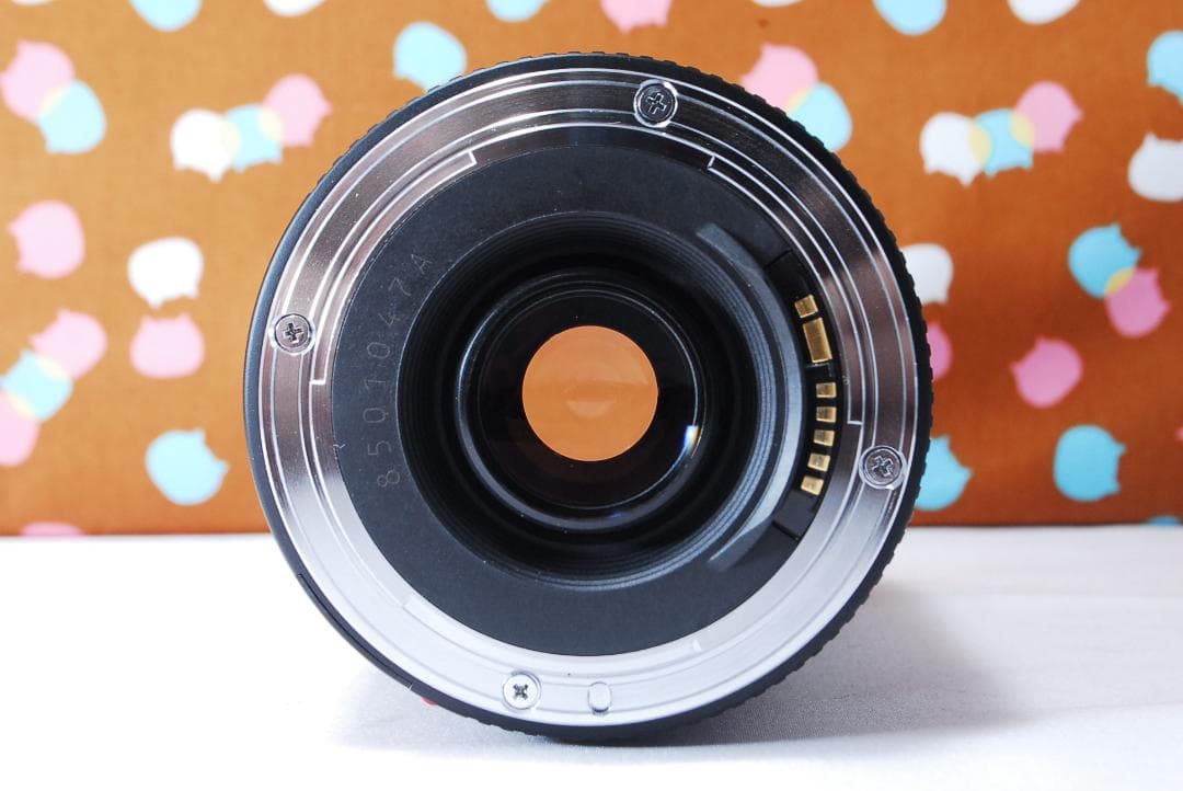 ✨人気の望遠レンズ✨Canon EF 75-300mm F4-5.6 Ⅱ