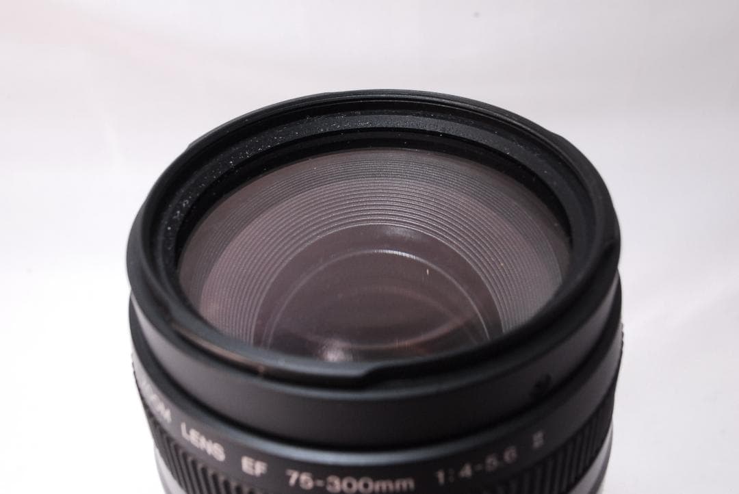 ✨人気の望遠レンズ✨Canon EF 75-300mm F4-5.6 Ⅱ