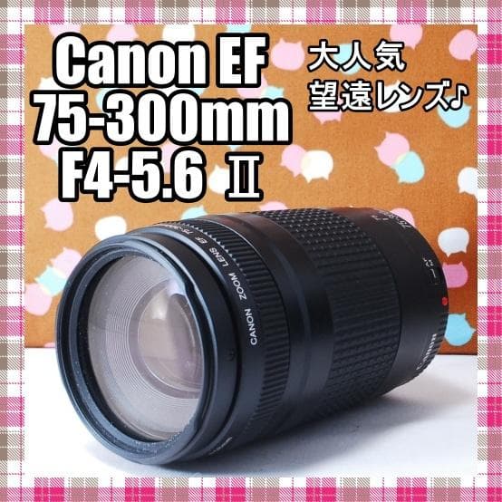 ✨人気の望遠レンズ✨Canon EF 75-300mm F4-5.6 Ⅱ
