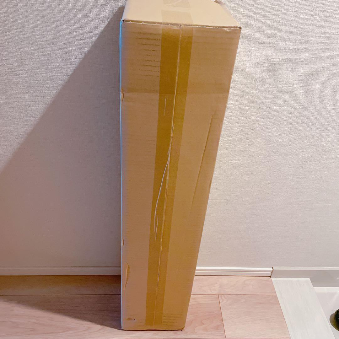 定価28600円 新品未開封 スノーピーク ローチェア ショート アイボリー