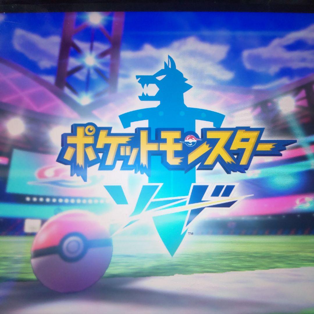 ポケットモンスター ソード　2個セット